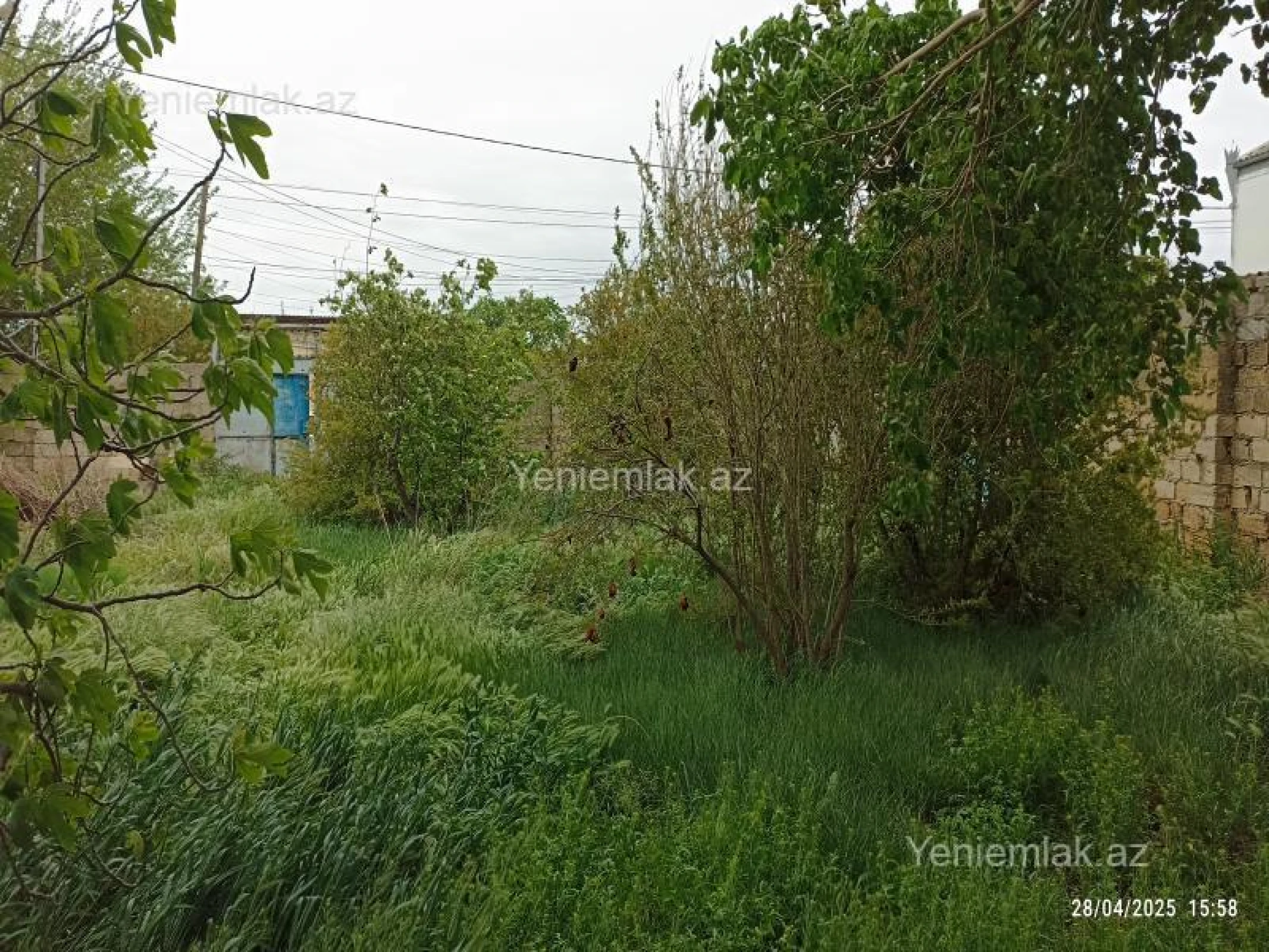 Satılır torpaq sahəsi