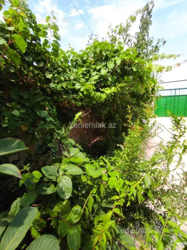Satılır 3 otaqlı həyət evi 100 m²