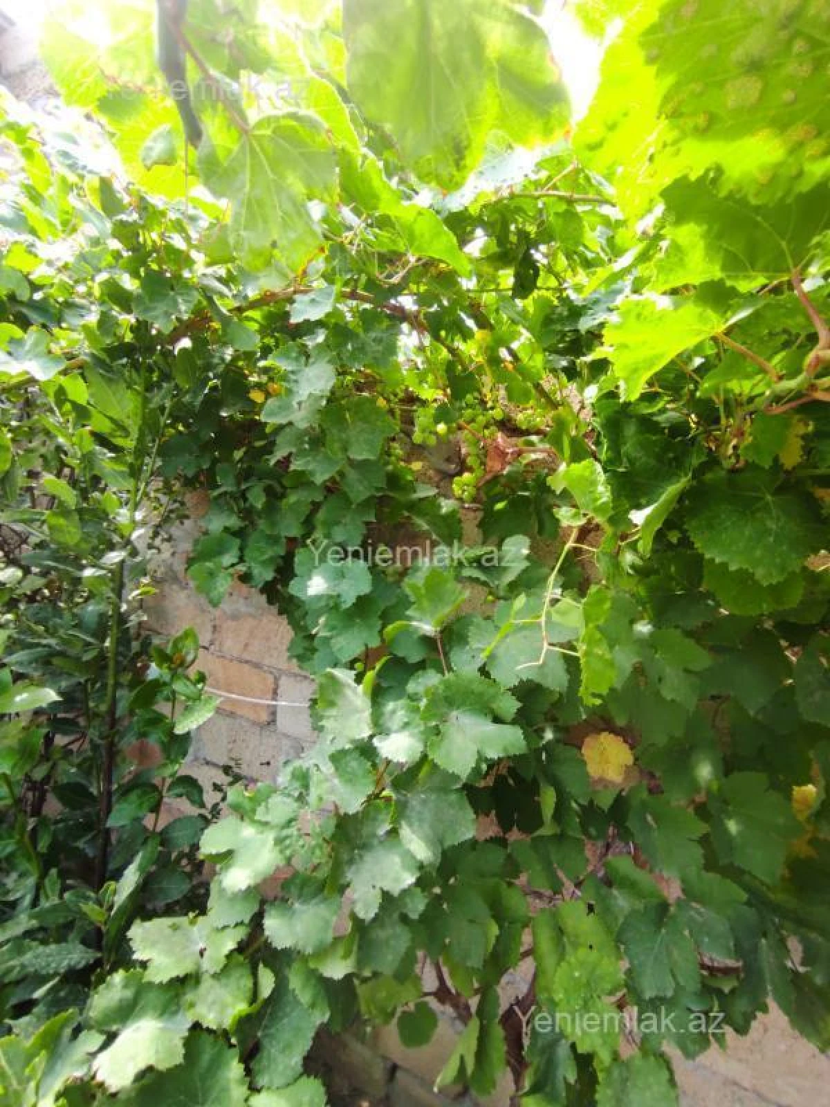 Satılır 3 otaqlı həyət evi 100 m²