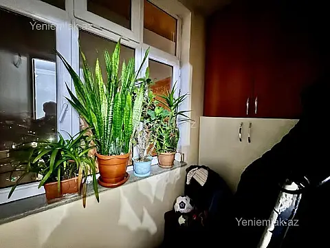 Satılır 2 otaqlı köhnə tikili 50 m²