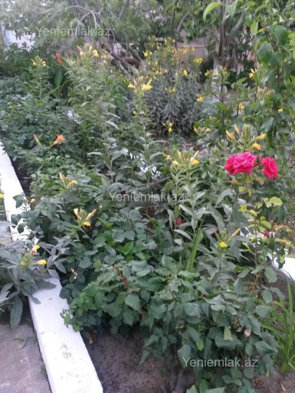 Satılır 6 otaqlı həyət evi 180 m²