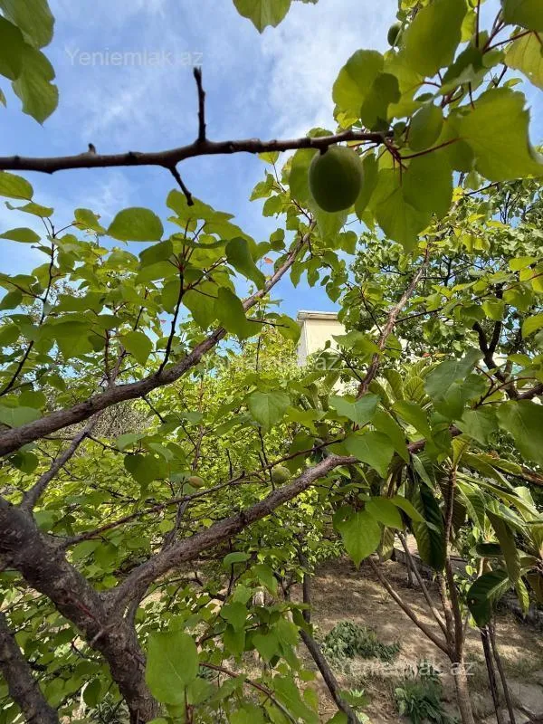 Satılır 6 otaqlı həyət evi 180 m²