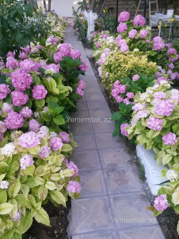 Satılır 6 otaqlı həyət evi 180 m²