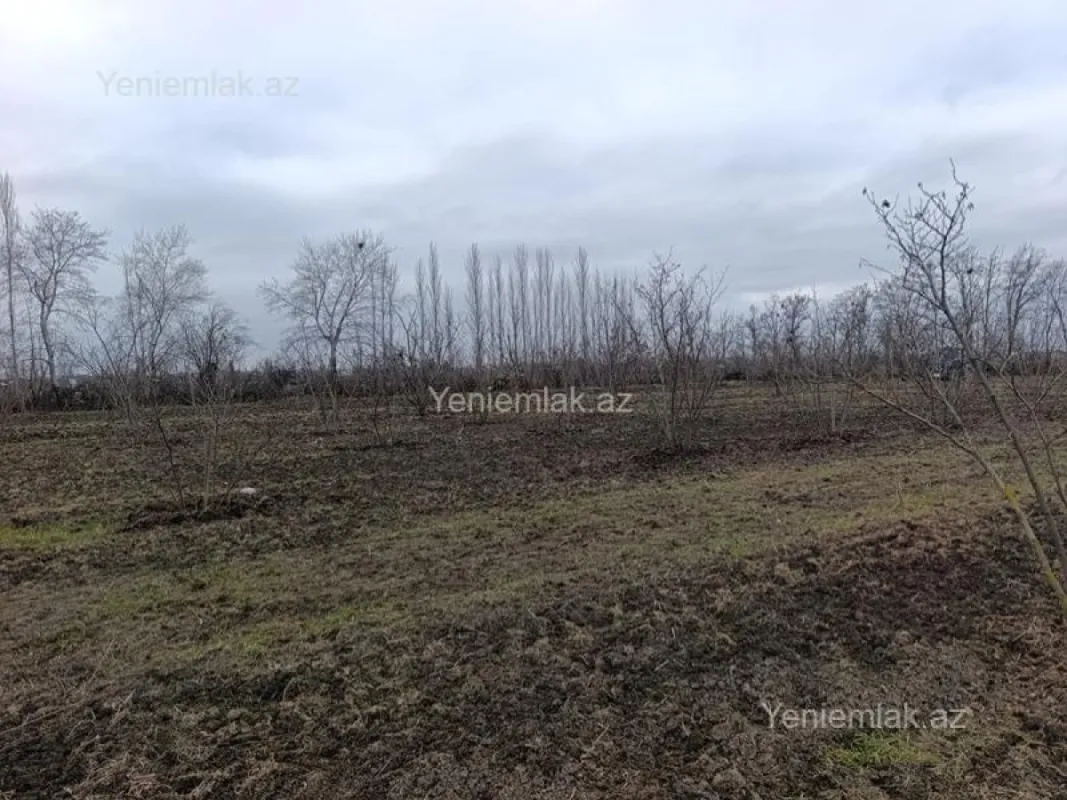 Satılır torpaq sahəsi