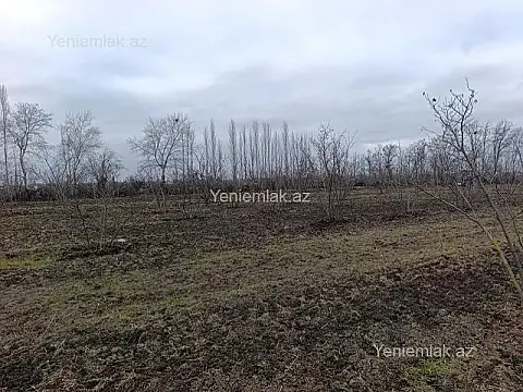 Satılır torpaq sahəsi