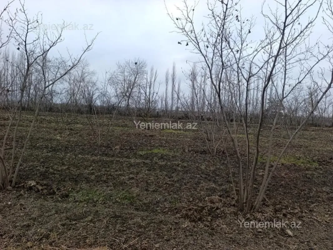 Satılır torpaq sahəsi