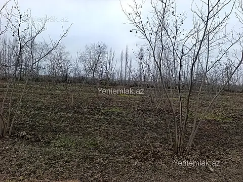 Satılır torpaq sahəsi — Qusar
