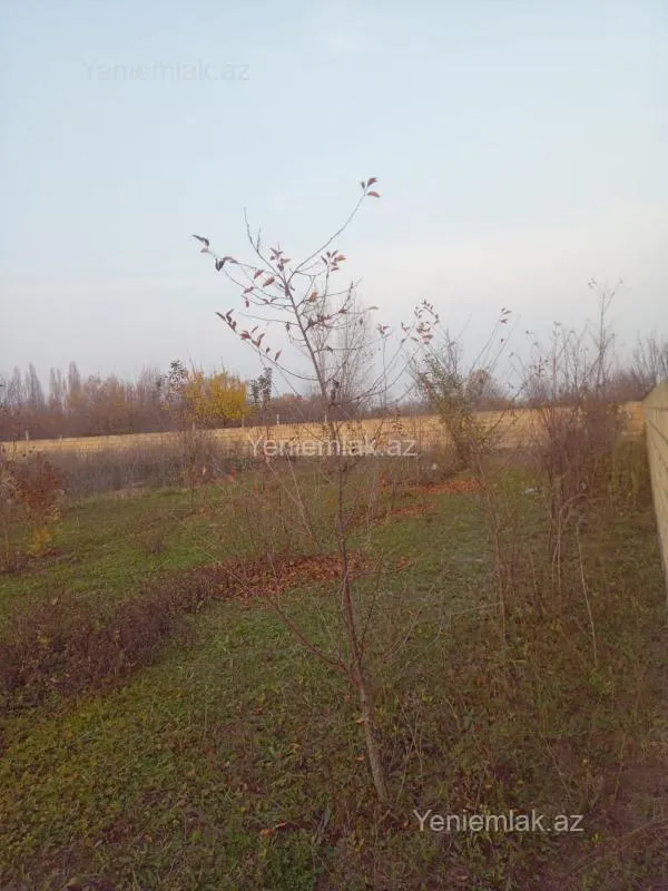 Satılır torpaq sahəsi