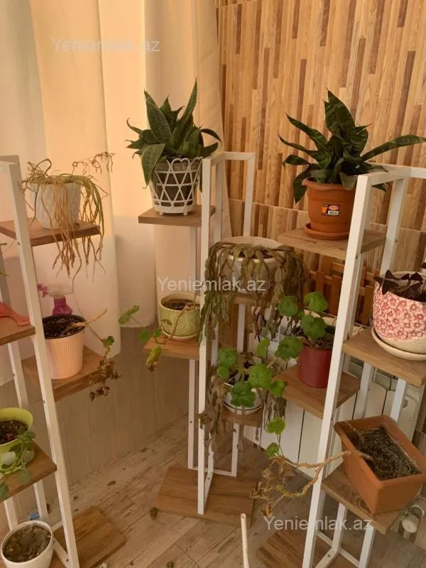 Satılır 3 otaqlı yeni tikili 118 m²