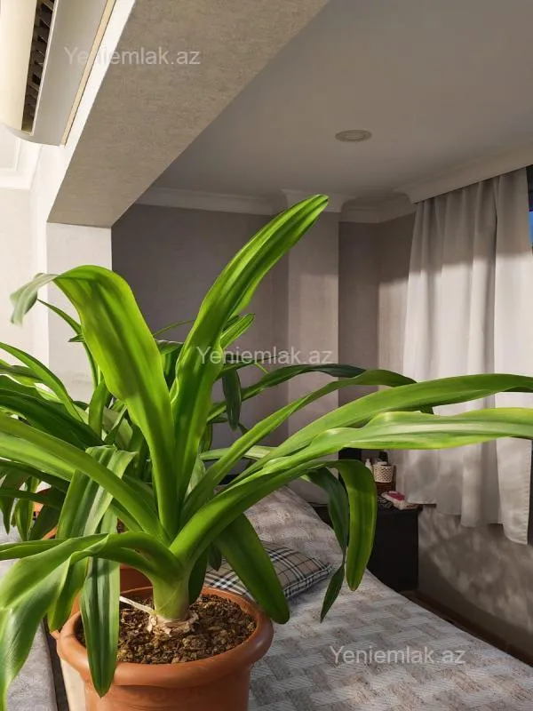 Satılır 3 otaqlı köhnə tikili 70 m²