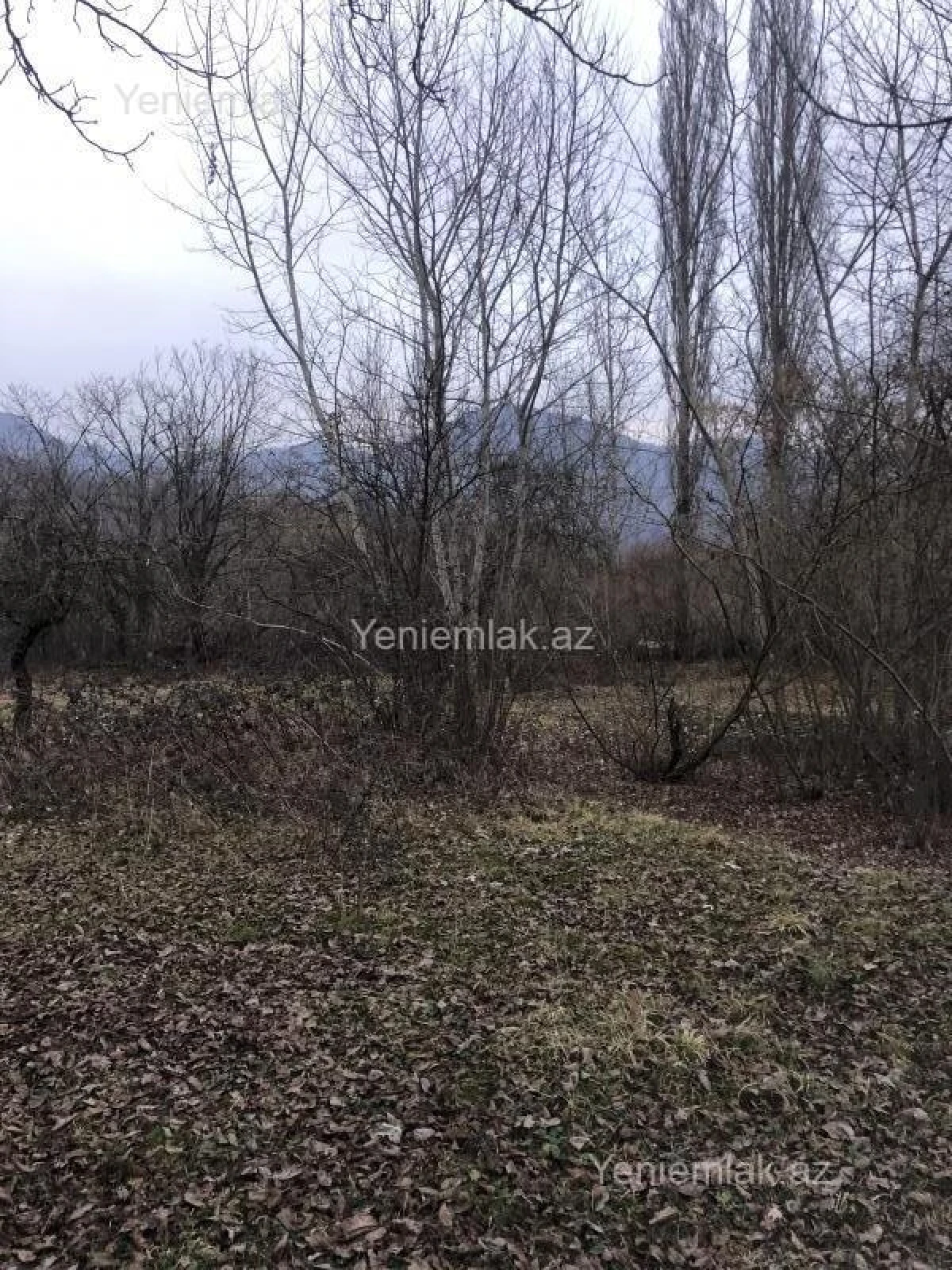 Satılır torpaq sahəsi