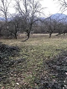 Satılır torpaq sahəsi — Qəbələ