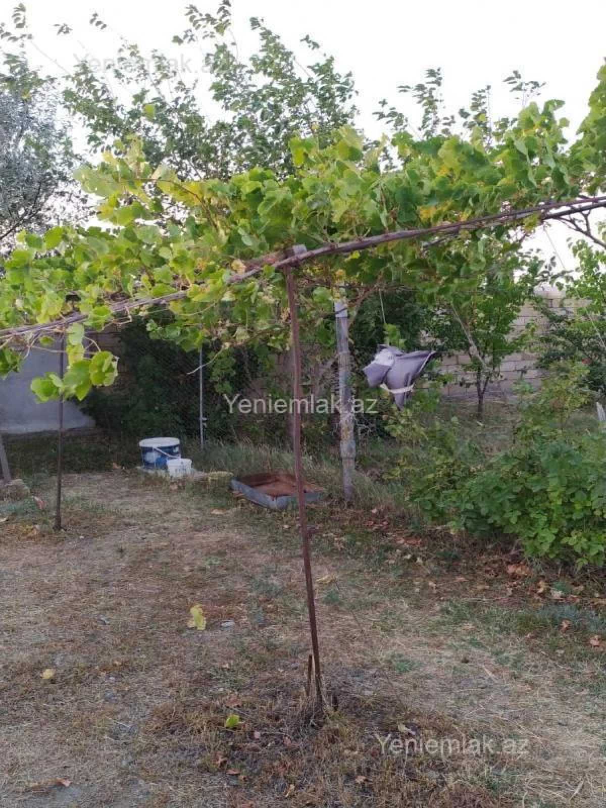 Satılır 2 otaqlı həyət evi 54 m²