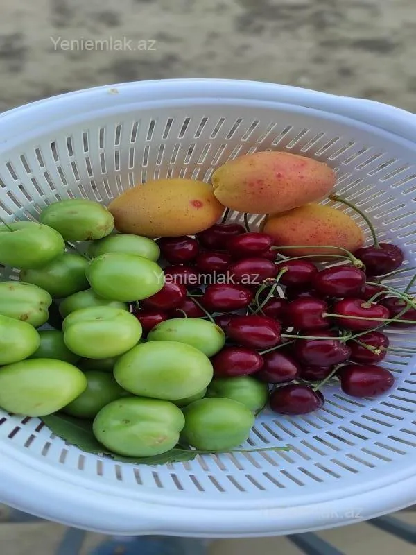 Satılır 3 otaqlı həyət evi 110 m²