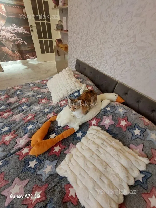 Satılır 2 otaqlı yeni tikili 97 m²