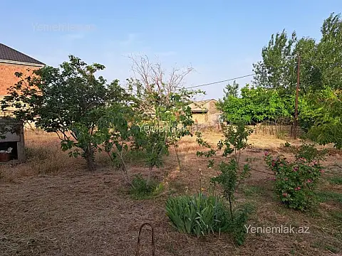 Satılır torpaq sahəsi — Abşeron