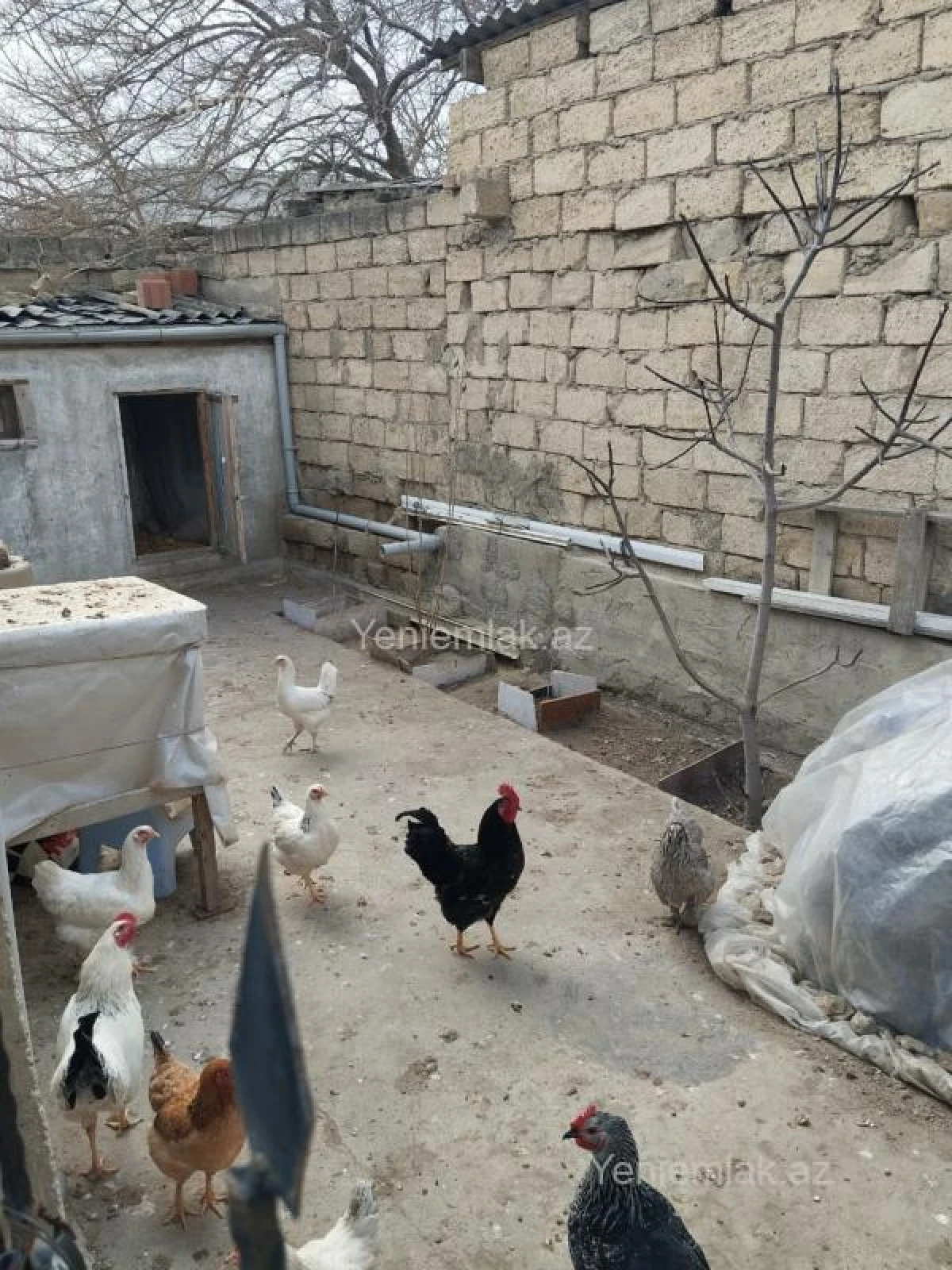 Satılır 4 otaqlı həyət evi 70 m²