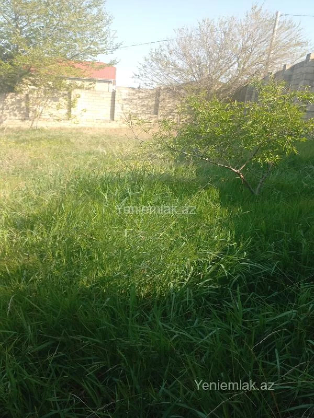 Satılır torpaq sahəsi