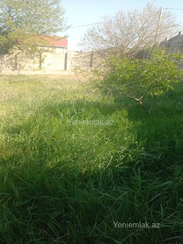 Satılır torpaq sahəsi