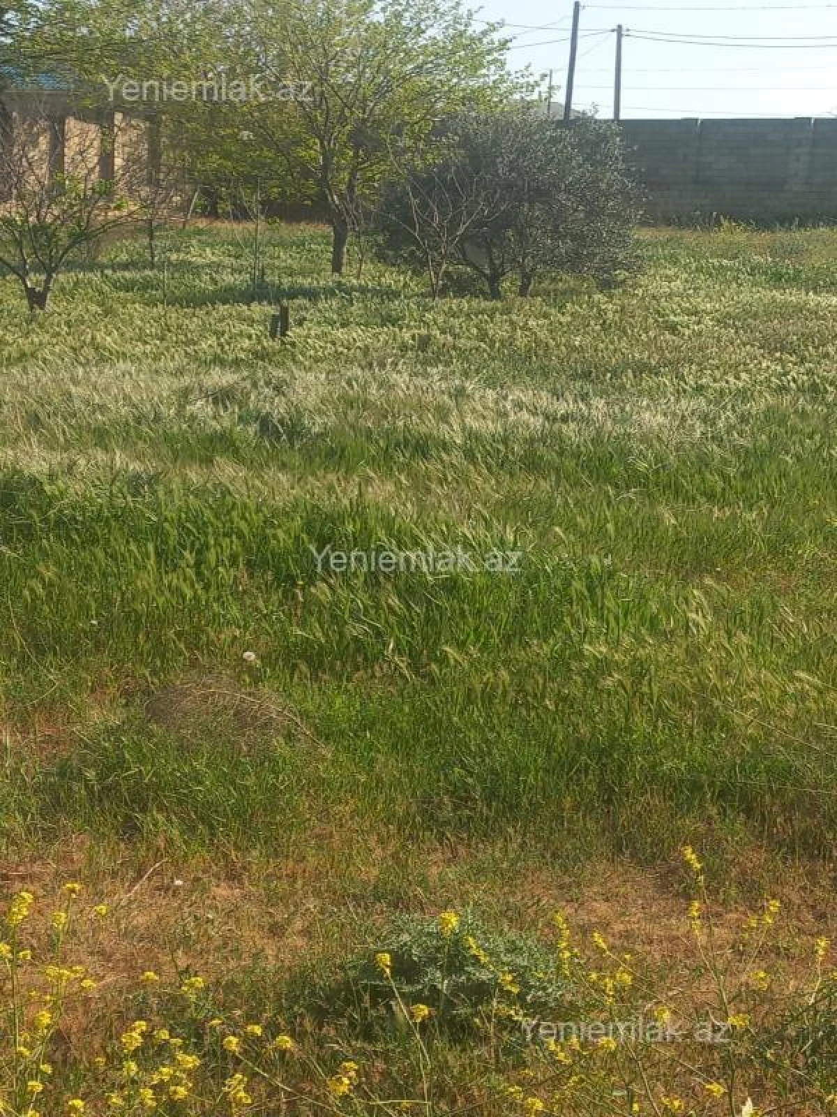 Satılır torpaq sahəsi