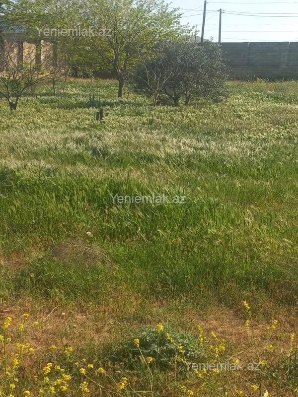 Satılır torpaq sahəsi