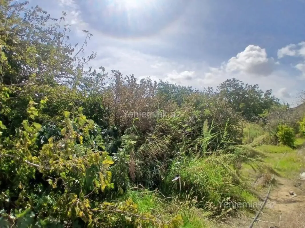 Satılır torpaq sahəsi