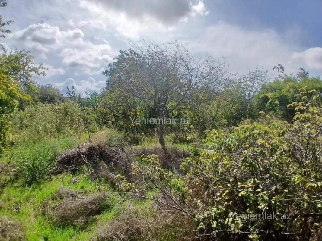 Satılır torpaq sahəsi