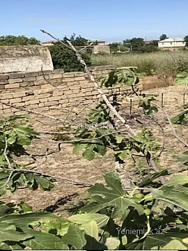 Satılır torpaq sahəsi — Abşeron, Novxanı