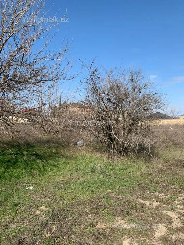 Satılır torpaq sahəsi