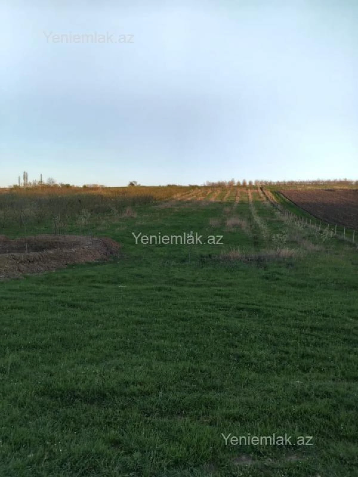 Satılır torpaq sahəsi