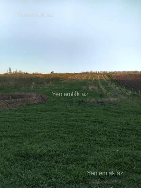 Satılır torpaq sahəsi