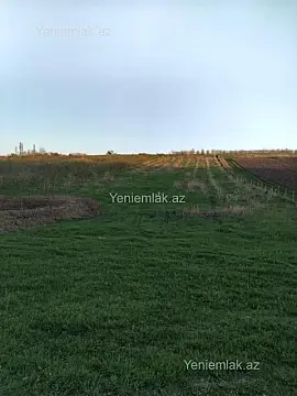 Satılır torpaq sahəsi