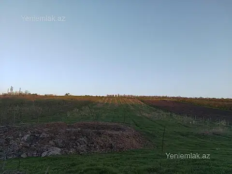 Satılır torpaq sahəsi