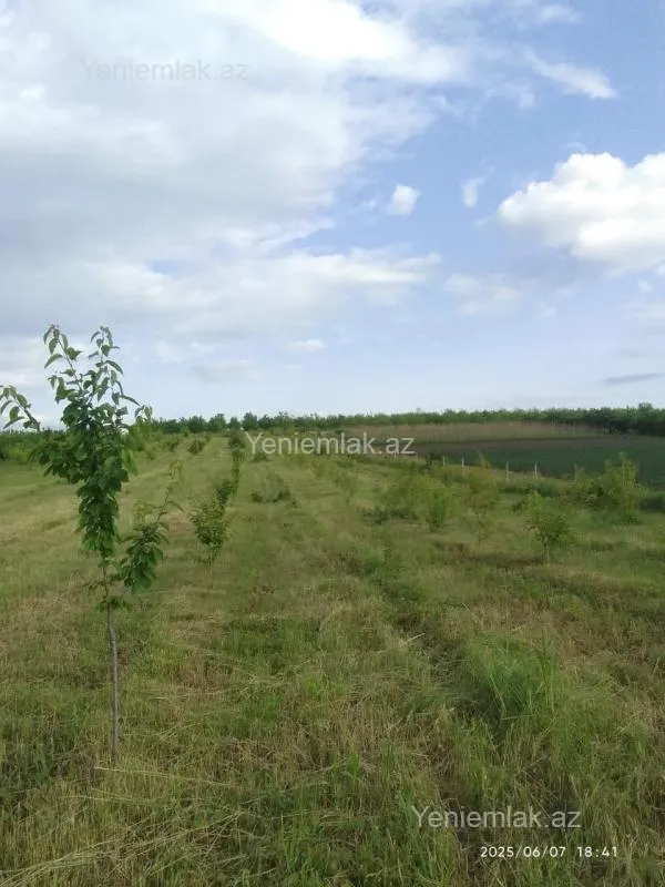 Satılır torpaq sahəsi