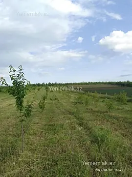 Satılır torpaq sahəsi