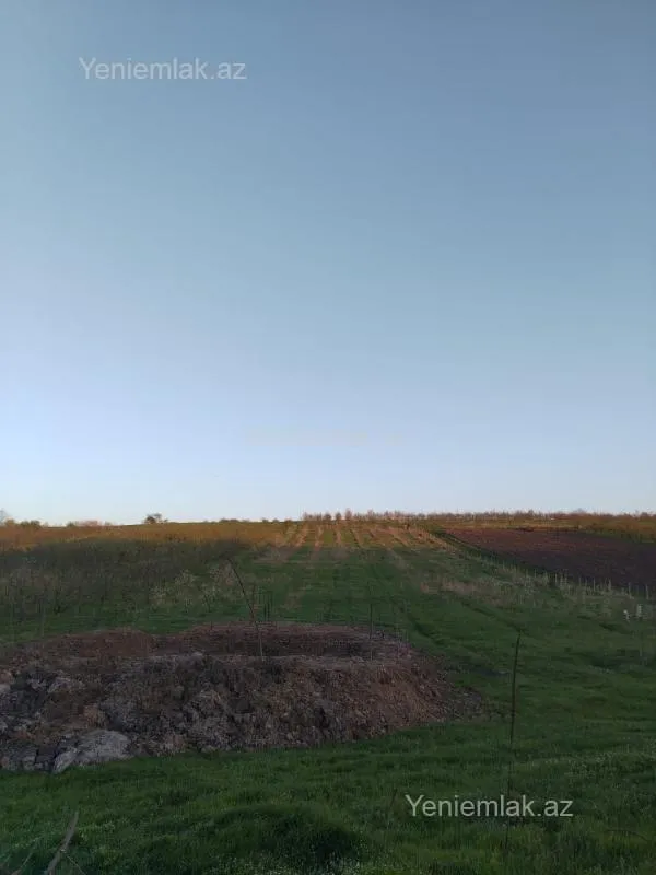 Satılır torpaq sahəsi