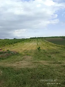 Satılır torpaq sahəsi — Quba