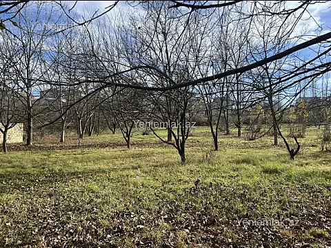 Satılır torpaq sahəsi — Quba