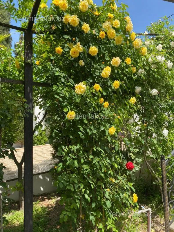 Satılır 6 otaqlı həyət evi 450 m²