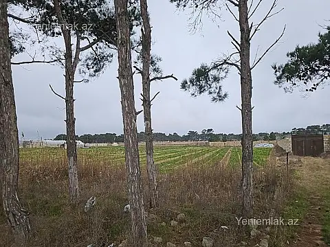 Satılır torpaq sahəsi — Bakı, Sabunçu