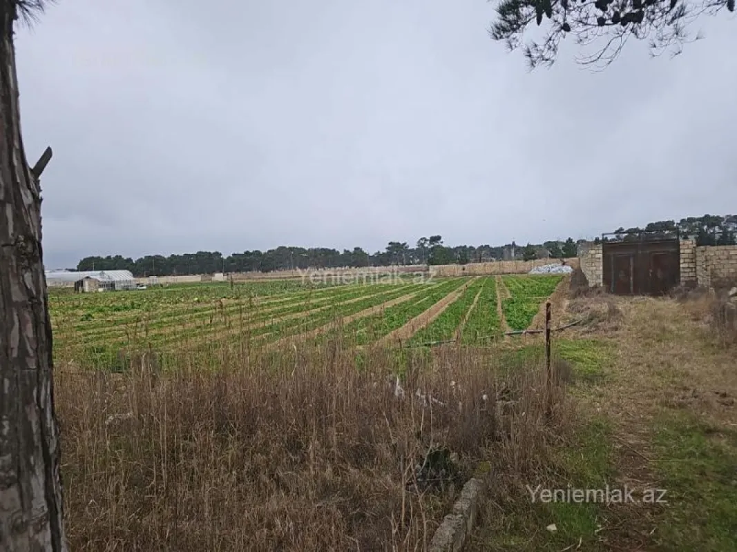 Satılır torpaq sahəsi