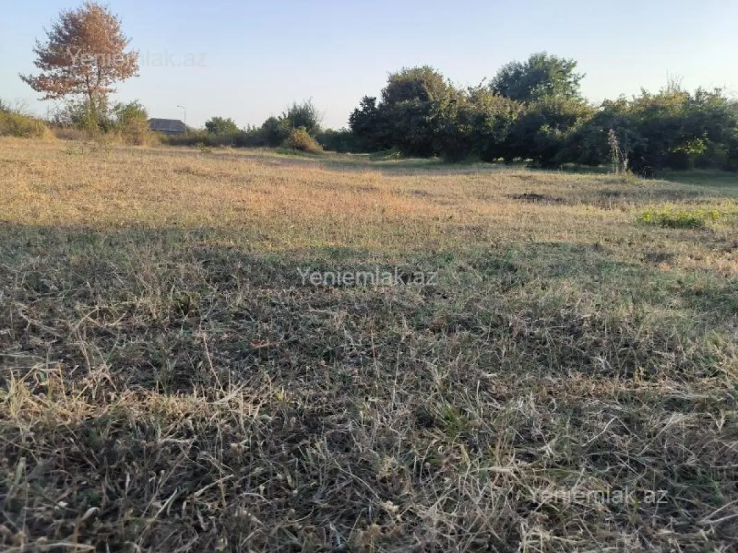 Satılır torpaq sahəsi