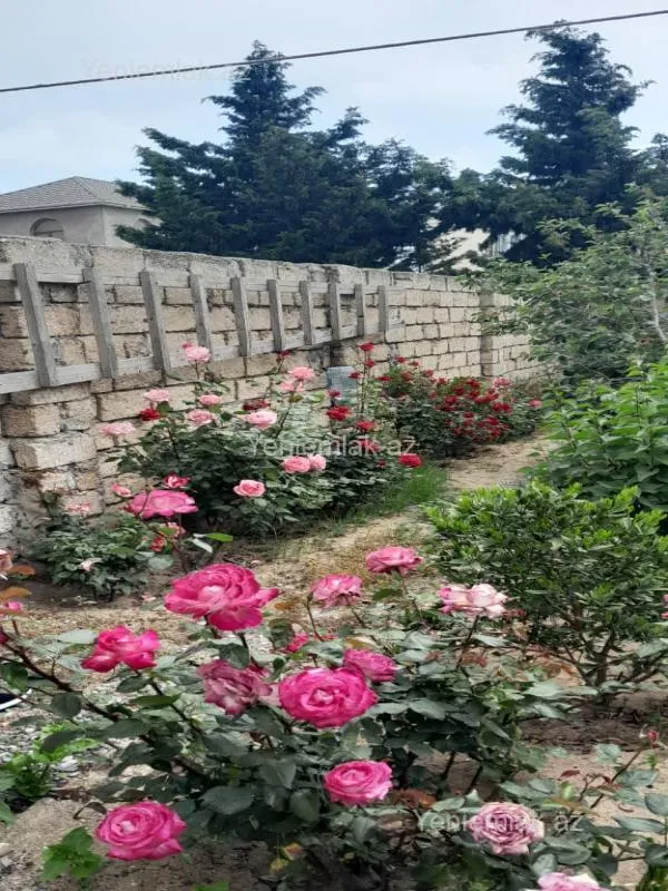 Satılır 4 otaqlı həyət evi 120 m²
