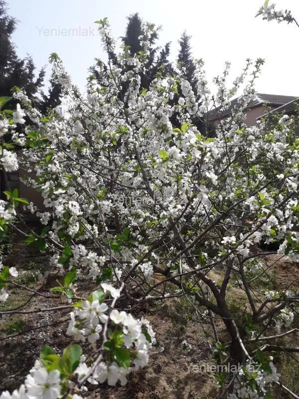 Satılır 4 otaqlı həyət evi 120 m²