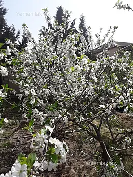 Satılır 4 otaqlı həyət evi 120 m²