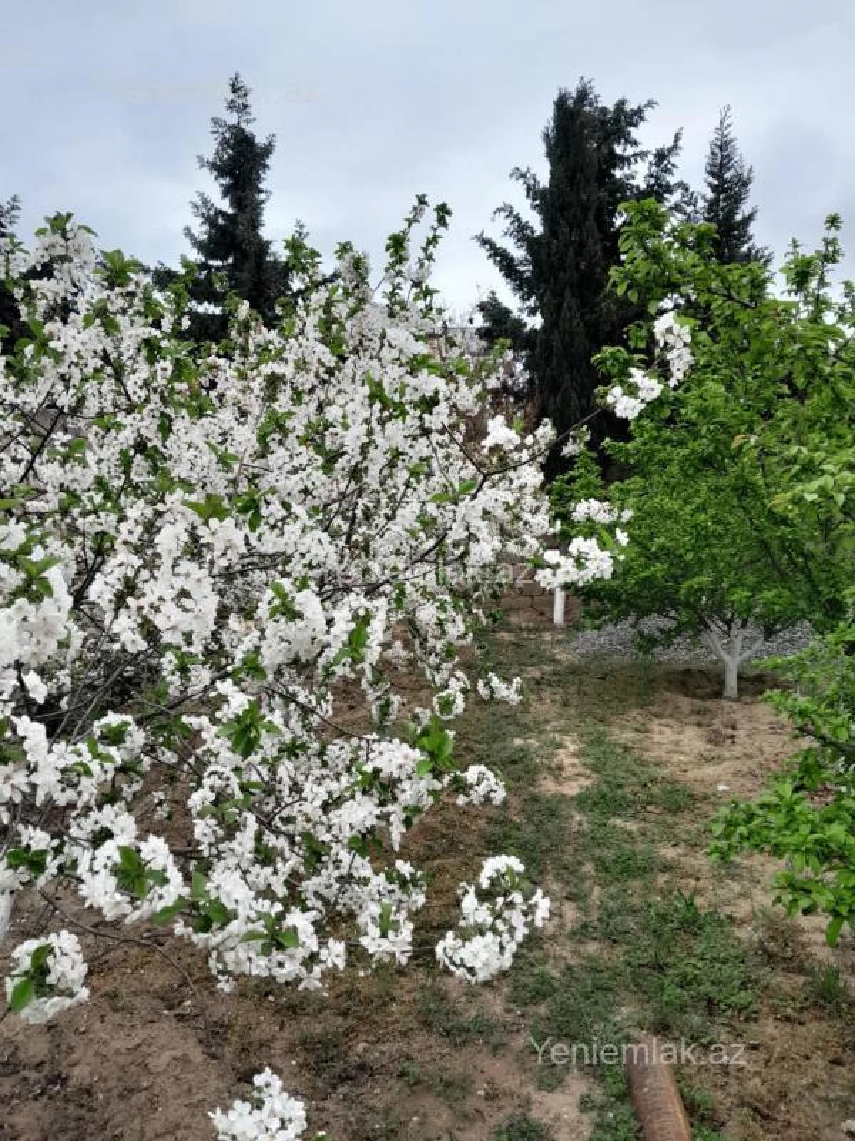 Satılır 4 otaqlı həyət evi 120 m²