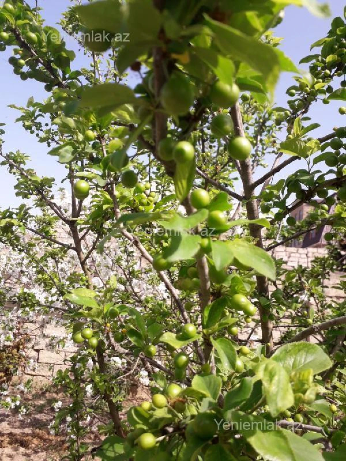 Satılır 4 otaqlı həyət evi 120 m²