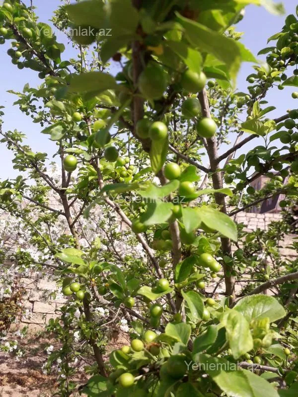 Satılır 4 otaqlı həyət evi 120 m²