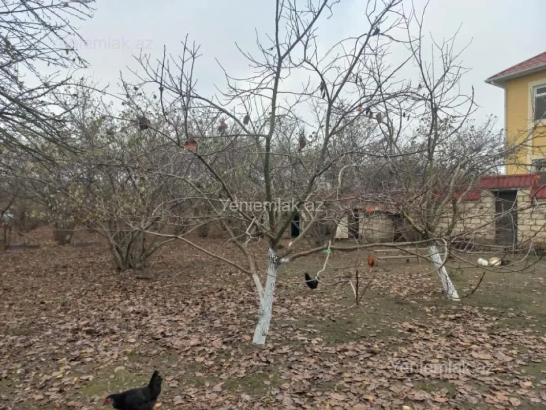 Satılır 5 otaqlı həyət evi 177 m²