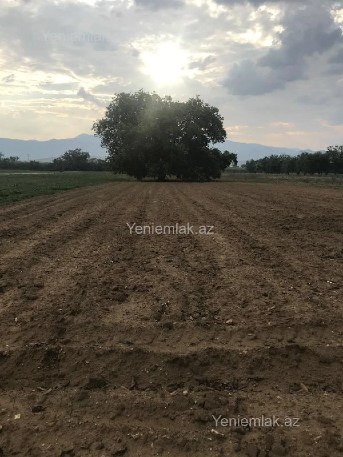 Satılır torpaq sahəsi